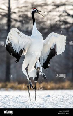  The Dancing Crane : An Ode to Grace and Serenity Amidst Turbulent Times